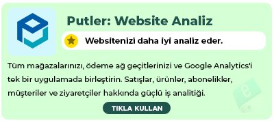 Putler Website Analiz